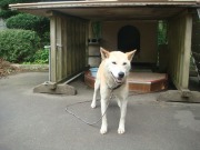 DSC02029.jpg DSC02029.jpg
