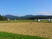 2013米2.jpg 2013米2.jpg