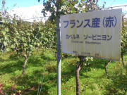 DSC_0661.jpg DSC_0661.jpg