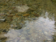 川4.jpg 川4.jpg