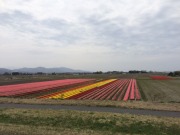image2.JPG image2.JPG