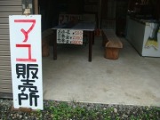 DSC01960.jpg DSC01960.jpg
