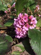 image11.JPG image11.JPG