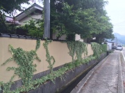 image.jpeg image.jpeg