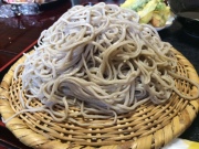 image.jpeg image.jpeg