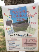 image.jpeg image.jpeg