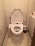 image.jpeg image.jpeg
