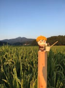 image.jpeg image.jpeg