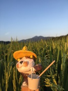 image.jpeg image.jpeg