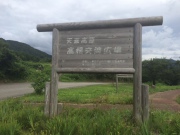 image.jpeg image.jpeg