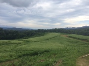 image.jpeg image.jpeg