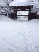 IMG_3753.JPG IMG_3753.JPG