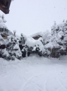 IMG_3755.JPG IMG_3755.JPG
