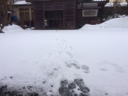 IMG_3851.JPG IMG_3851.JPG
