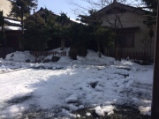 IMG_3896.JPG IMG_3896.JPG