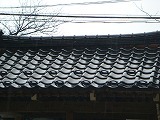DSC01535.jpg DSC01535.jpg