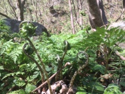 image8.JPG image8.JPG