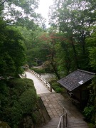 IMG_3843.JPG IMG_3843.JPG