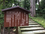 IMG_4011.JPG IMG_4011.JPG