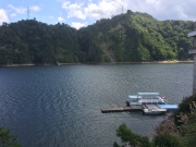 IMG_4185.JPG IMG_4185.JPG