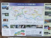 IMG_4186.JPG IMG_4186.JPG