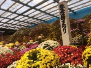 0D1CA7FC-DD24-4B5E-82B4-14568D423A49.jpeg 0D1CA7FC-DD24-4B5E-82B4-14568D423A49.jpeg