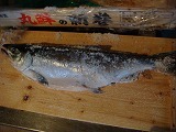 DSC01550.jpg DSC01550.jpg