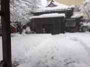07C93263-56A6-4C12-8700-6CA7BC819040.jpeg 07C93263-56A6-4C12-8700-6CA7BC819040.jpeg