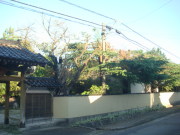 DSC02363.JPG DSC02363.JPG