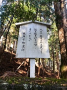 B0B147F7-ED27-41AD-968C-624BA59ABDB7.jpeg B0B147F7-ED27-41AD-968C-624BA59ABDB7.jpeg