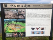 1A51BAB1-646F-43A9-90AC-369E1EED3D71.jpeg 1A51BAB1-646F-43A9-90AC-369E1EED3D71.jpeg