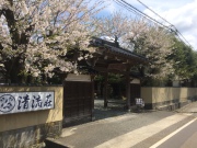 4F1FBDE0-6600-4CA9-A23C-3E8856114084.jpeg 4F1FBDE0-6600-4CA9-A23C-3E8856114084.jpeg