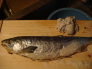 DSC02474.JPG DSC02474.JPG