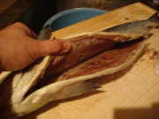 DSC02477.JPG DSC02477.JPG