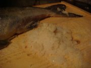 DSC02479.JPG DSC02479.JPG