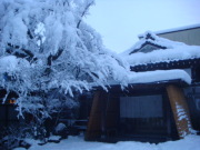 DSC02497.JPG DSC02497.JPG