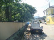 DSC02810.jpg