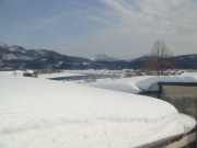 DSC03216.JPG DSC03216.JPG