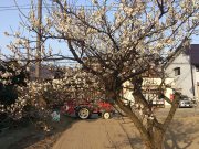 DSC_0044.jpg DSC_0044.jpg