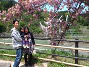 DSC_0092.jpg DSC_0092.jpg