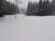 DSC_0205.jpg DSC_0205.jpg