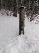 DSC_0211.jpg DSC_0211.jpg