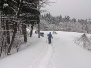 DSC_0209.jpg DSC_0209.jpg