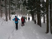 DSC_0210.jpg DSC_0210.jpg