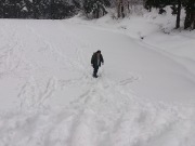 DSC_0207.jpg DSC_0207.jpg