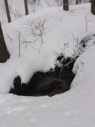 DSC_0212.jpg DSC_0212.jpg